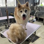 10/7　グルーミング