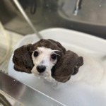 10/28　グルーミング