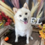 11/1　グルーミング