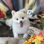 11/19　グルーミング