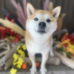 11/20 グルーミング