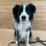 11/26　グルーミング