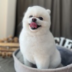 11/28　グルーミング