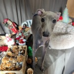 12/23　グルーミング