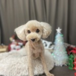 12/2　グルーミング