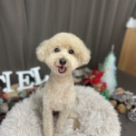 12/7　グルーミング