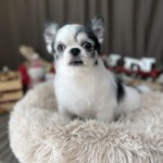 12/9　グルーミング