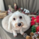 12/11　グルーミング