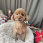 12/12　グルーミング