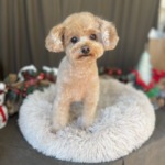 12/13 グルーミング