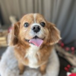 12/14　グルーミング