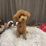 12/16　グルーミング