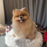 12/17　グルーミング