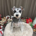 12/18　グルーミング