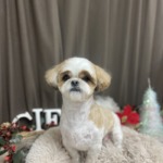 12/21　グルーミング