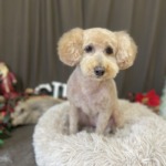 12/22　グルーミング