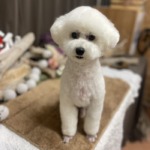 1/17　グルーミング