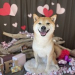 1/21　グルーミング