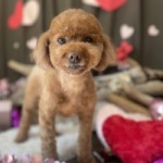 1/23　グルーミング