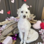 1/25　グルーミング