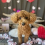 1/26　グルーミング