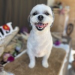 1/6　グルーミング