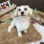 1/8　グルーミング