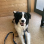 1/9　グルーミング