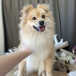 1/10　グルーミング