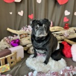 2/11 　グルーミング