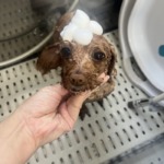 2/13 グルーミング