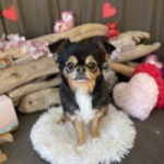 2/4　グルーミング