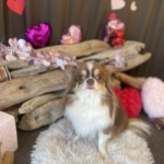 2/14 グルーミング