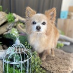 2/24 グルーミング