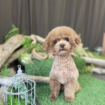 2/25 グルーミング