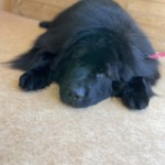 2/26 グルーミング