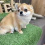 2/27　グルーミング