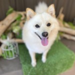 2/28　グルーミング