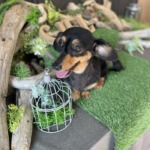 3/10　グルーミング