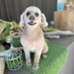 3/14　グルーミング