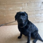 3/15 グルーミング