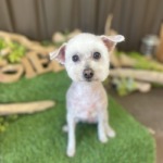 3/19　グルーミング