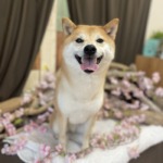 3/25 グルーミング