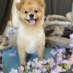 4/28　グルーミング