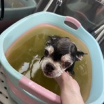 4/29　グルーミング