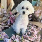 4/3 グルーミング