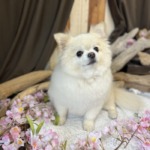 4/7 グルーミング