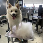 4/18　グルーミング