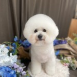 6/21 グルーミング