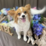 6/7 グルーミング